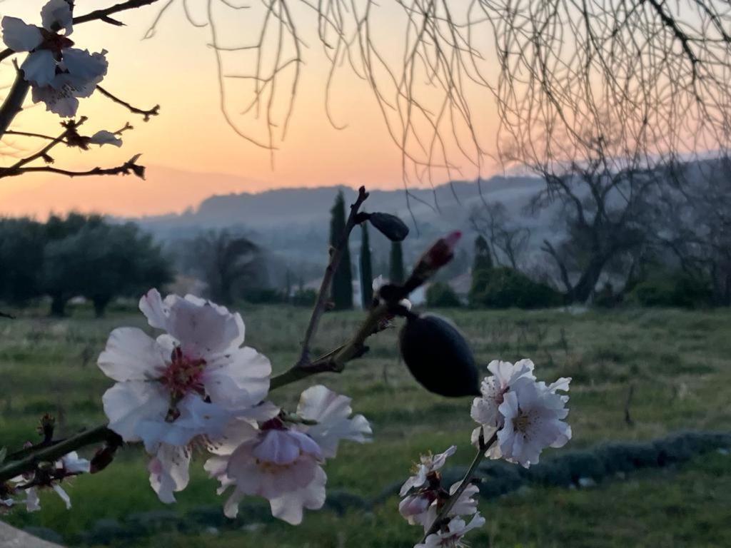 Bed and Breakfast Gite Belle Vue Visan Экстерьер фото